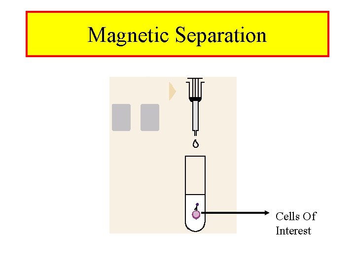 Magnetic Separation Cells Of Interest 