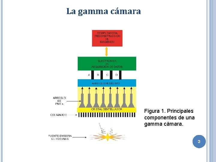 La gamma cámara Figura 1. Principales componentes de una gamma cámara. 3 