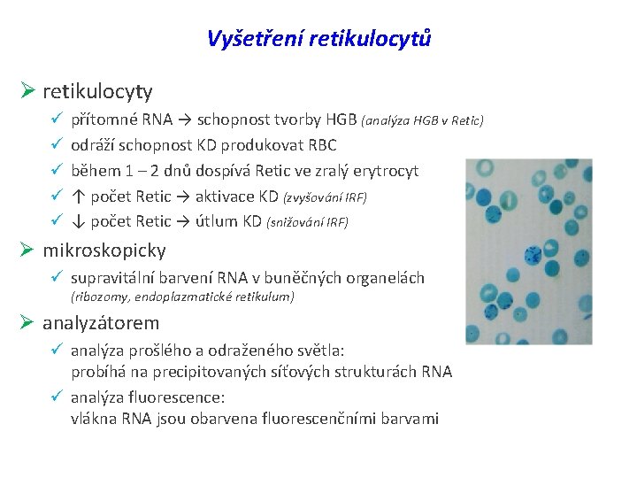 Vyšetření retikulocytů Ø retikulocyty ü ü ü přítomné RNA → schopnost tvorby HGB (analýza