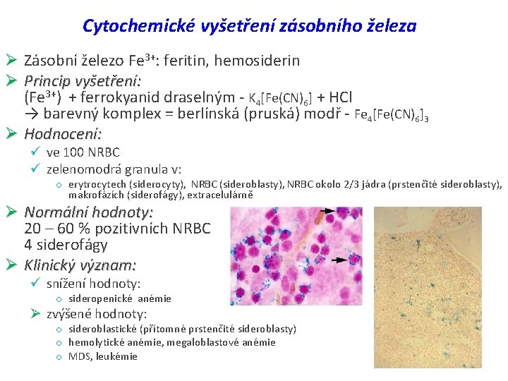 Cytochemické vyšetření zásobního železa Ø Zásobní železo Fe 3+: feritin, hemosiderin Ø Princip vyšetření: