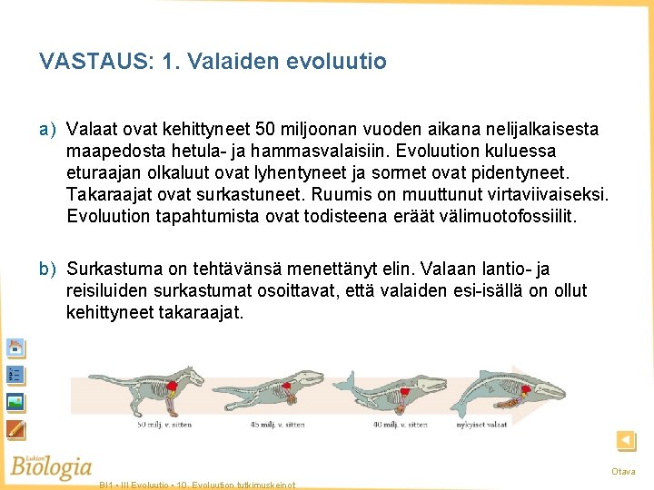 VASTAUS: 1. Valaiden evoluutio a) Valaat ovat kehittyneet 50 miljoonan vuoden aikana nelijalkaisesta maapedosta