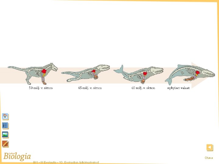 Valaan evoluutio Otava BI 1 • III Evoluutio • 10. Evoluution tutkimuskeinot 