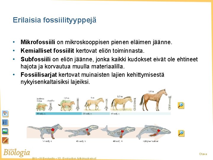Erilaisia fossiilityyppejä • Mikrofossiili on mikroskooppisen pienen eläimen jäänne. • Kemialliset fossiilit kertovat eliön