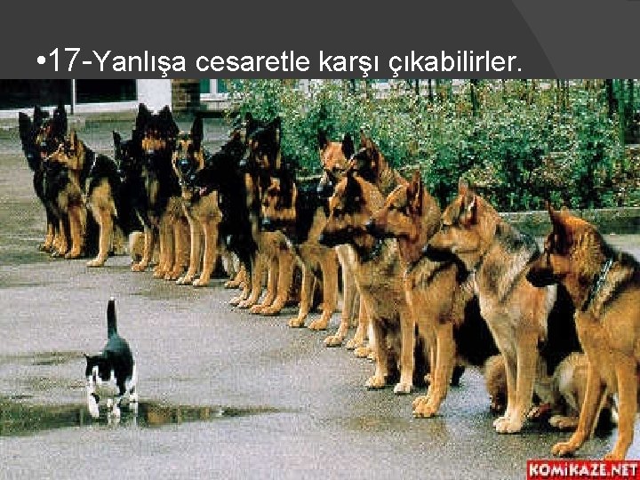  • 17 -Yanlışa cesaretle karşı çıkabilirler. 47 