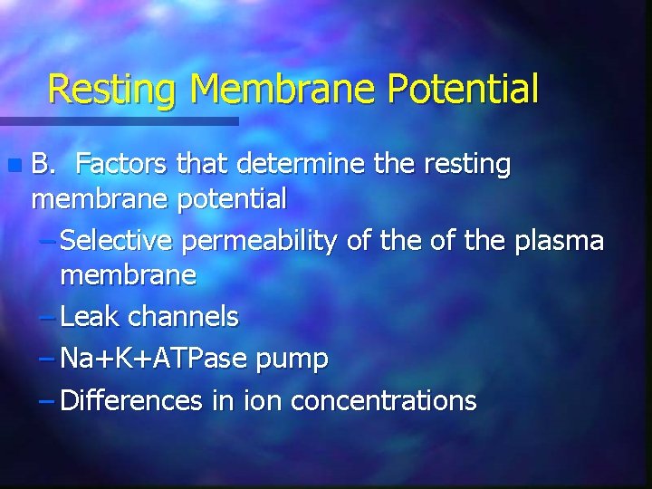 Resting Membrane Potential n B. Factors that determine the resting membrane potential – Selective