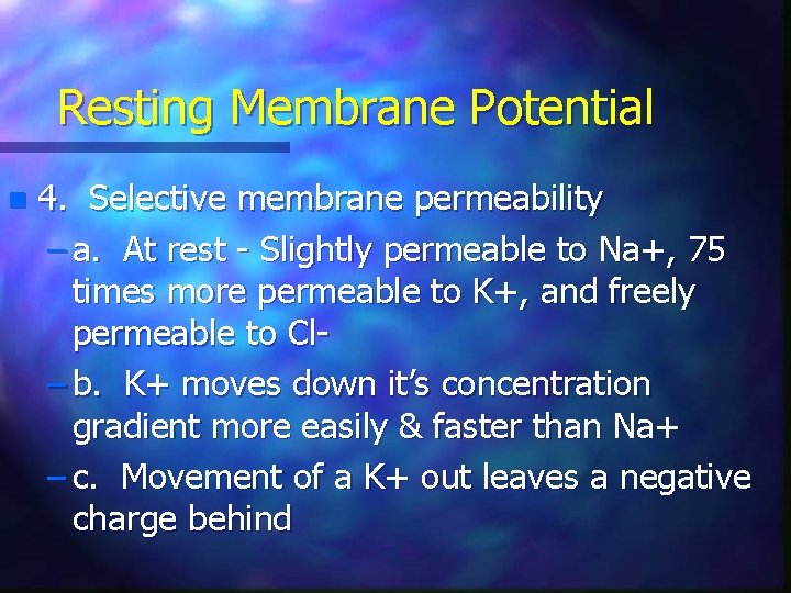 Resting Membrane Potential n 4. Selective membrane permeability – a. At rest - Slightly