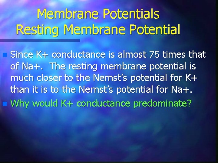 Membrane Potentials Resting Membrane Potential Since K+ conductance is almost 75 times that of