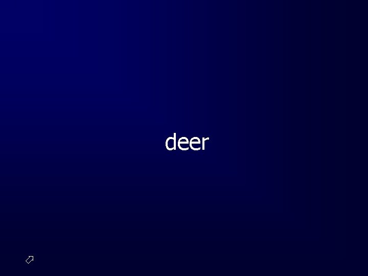 deer 