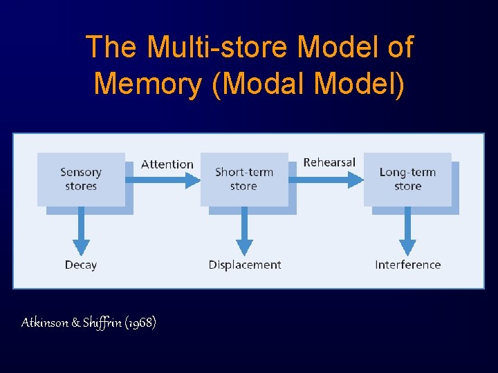 The Multi-store Model of Memory (Modal Model) Atkinson & Shiffrin (1968) 