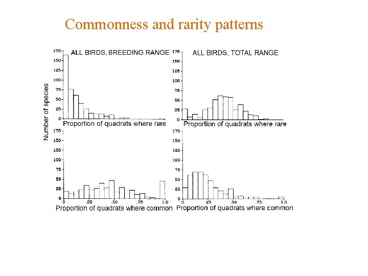 Commonness and rarity patterns 