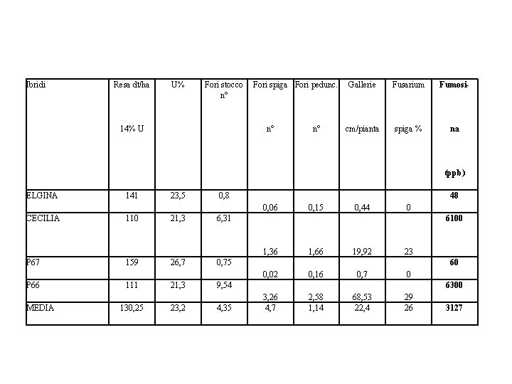 Ibridi Resa dt/ha U% Fori stocco n° Fori spiga Fori pedunc. 14% U n°