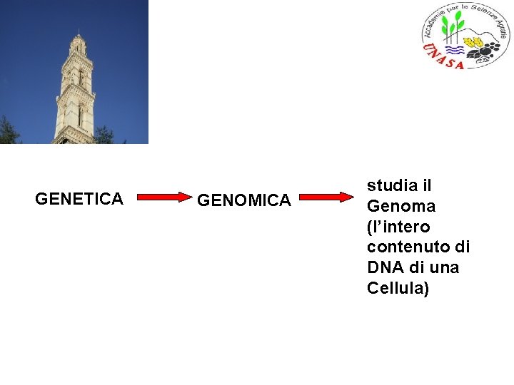 GENETICA GENOMICA studia il Genoma (l’intero contenuto di DNA di una Cellula) 