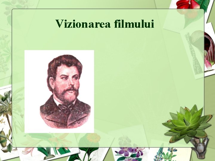 Vizionarea filmului 