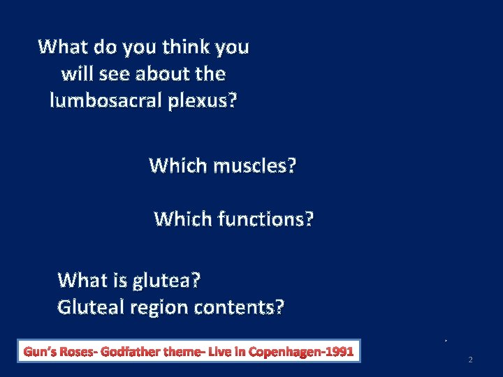 What do you think you will see about the lumbosacral plexus? Which muscles? Which