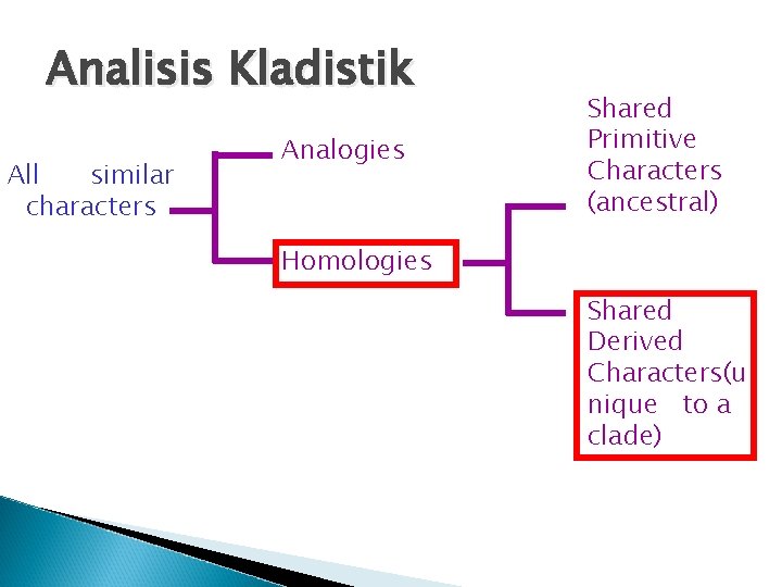 Analisis Kladistik All similar characters Analogies Shared Primitive Characters (ancestral) Homologies Shared Derived Characters(u