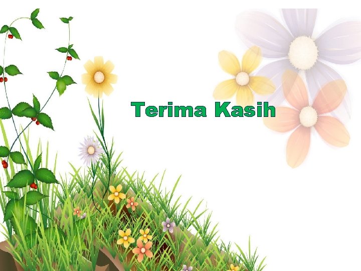 Terima Kasih 
