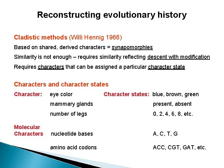 Reconstructing evolutionary history Cladistic methods (Willi Hennig 1966) Based on shared, derived characters =