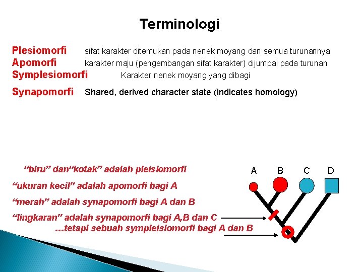 Terminologi Plesiomorfi sifat karakter ditemukan pada nenek moyang dan semua turunannya Apomorfi karakter maju