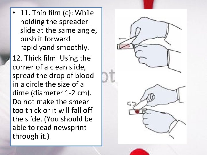  • 11. Thin film (c): While holding the spreader slide at the same