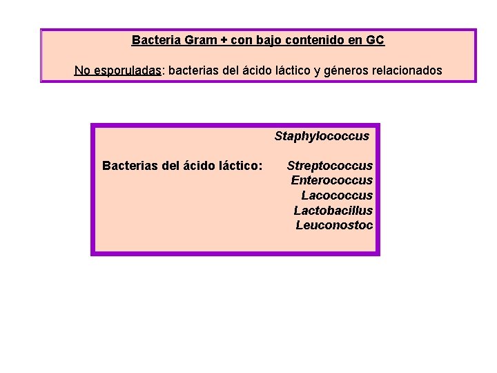 Bacteria Gram + con bajo contenido en GC No esporuladas: bacterias del ácido láctico