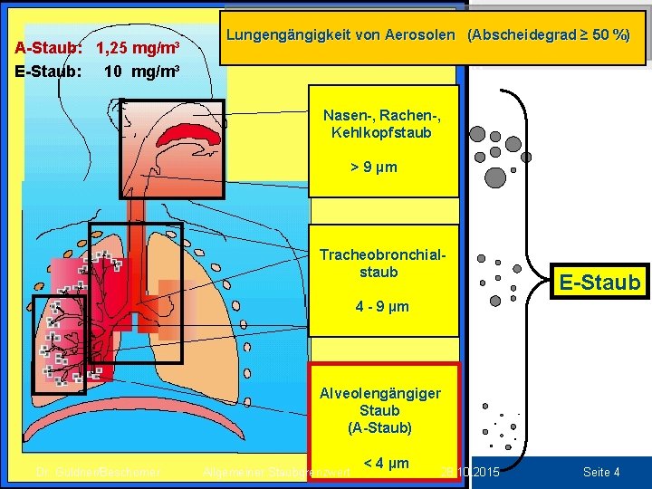 A-Staub: 1, 25 mg/m³ E-Staub: S 10 mg/m³ Lungengängigkeit von Aerosolen (Abscheidegrad ≥ 50