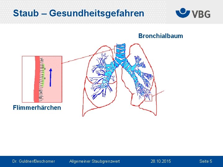 Staub – Gesundheitsgefahren Bronchialbaum Flimmerhärchen Dr. Guldner/Beschorner Allgemeiner Staubgrenzwert 28. 10. 2015 Seite 5