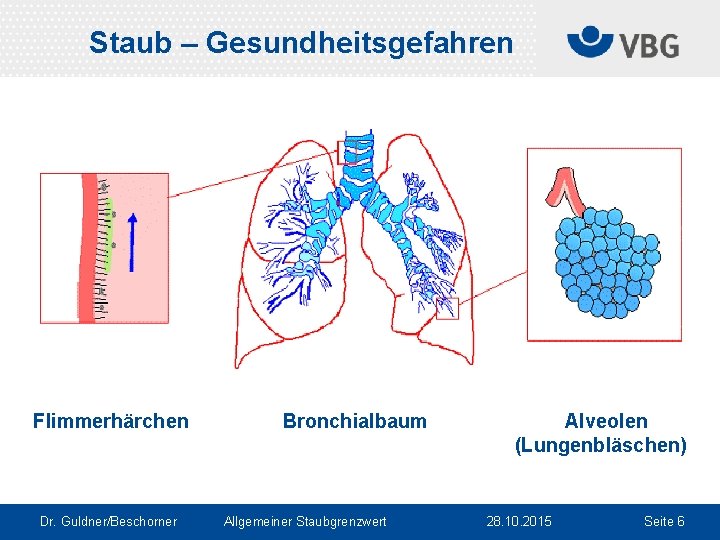 Staub – Gesundheitsgefahren abc Flimmerhärchen Dr. Guldner/Beschorner Bronchialbaum Allgemeiner Staubgrenzwert Alveolen (Lungenbläschen) 28. 10.