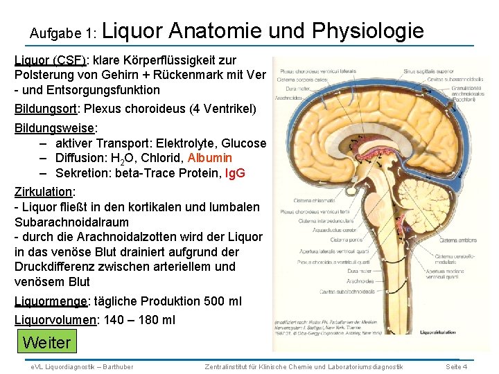 Aufgabe 1: Liquor Anatomie und Physiologie Liquor (CSF): klare Körperflüssigkeit zur Polsterung von Gehirn