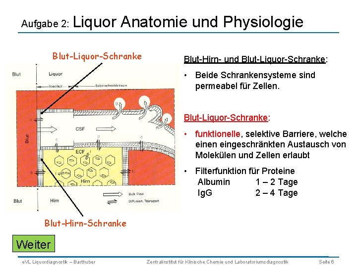 Aufgabe 2: Liquor Anatomie und Physiologie Blut-Liquor-Schranke Blut-Hirn- und Blut-Liquor-Schranke: • Beide Schrankensysteme sind