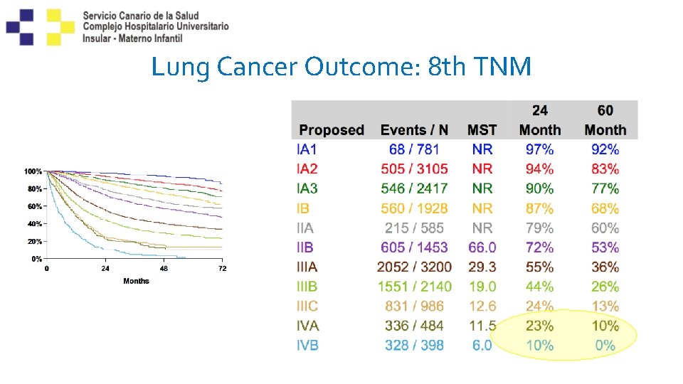 Lung Cancer Outcome: 8 th TNM 