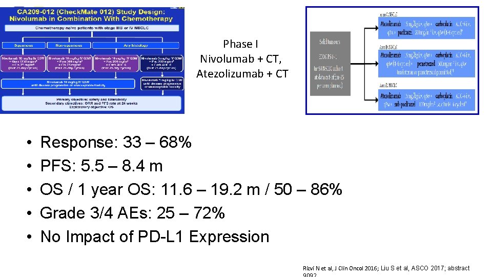 Phase I Nivolumab + CT, Atezolizumab + CT • • • Response: 33 –