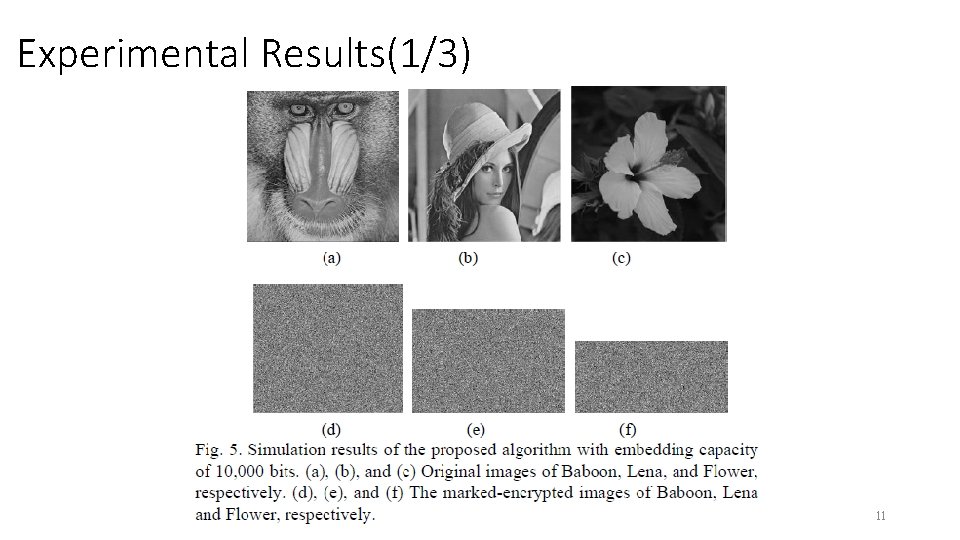 Experimental Results(1/3) 11 