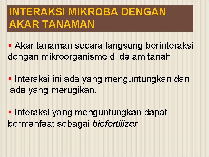 INTERAKSI MIKROBA DENGAN AKAR TANAMAN § Akar tanaman secara langsung berinteraksi dengan mikroorganisme di