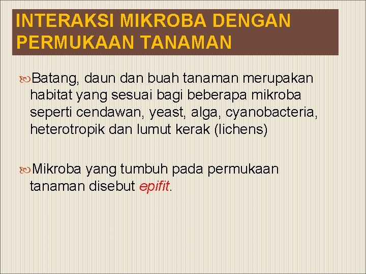 INTERAKSI MIKROBA DENGAN PERMUKAAN TANAMAN Batang, daun dan buah tanaman merupakan habitat yang sesuai