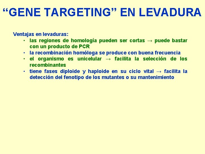 “GENE TARGETING” EN LEVADURA Ventajas en levaduras: • las regiones de homología pueden ser