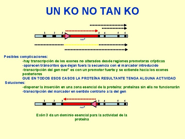 UN KO NO TAN KO 1 2 3 3 4 5 6 neo. R