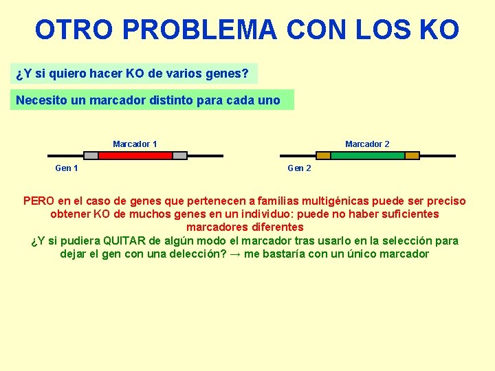 OTRO PROBLEMA CON LOS KO ¿Y si quiero hacer KO de varios genes? Necesito