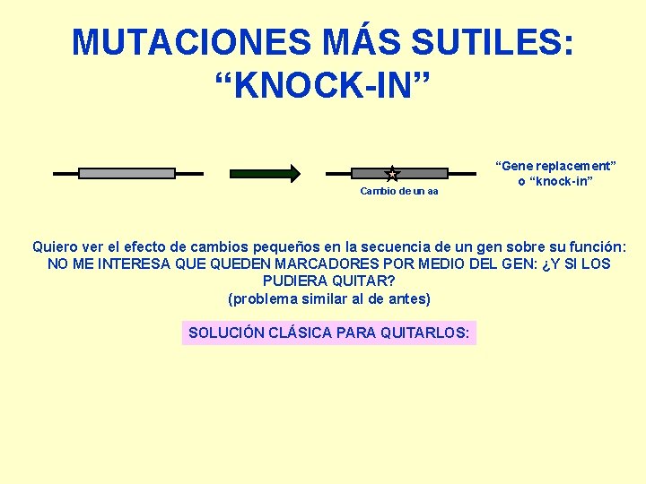 MUTACIONES MÁS SUTILES: “KNOCK-IN” Cambio de un aa “Gene replacement” o “knock-in” Quiero ver