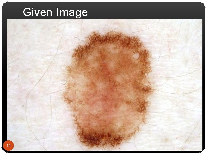 Given Image 14 
