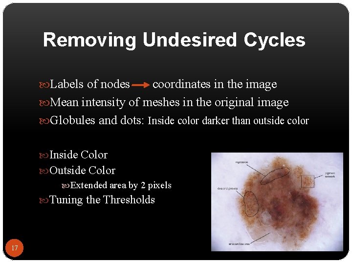 Removing Undesired Cycles Labels of nodes coordinates in the image Mean intensity of meshes