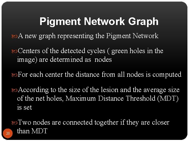 Pigment Network Graph A new graph representing the Pigment Network Centers of the detected