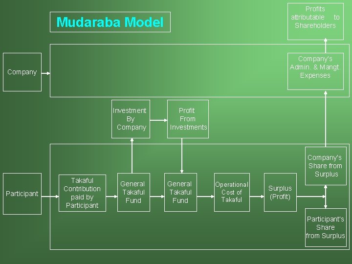 Profits attributable to Shareholders Mudaraba Model Company’s Admin. & Mangt. Expenses Company Investment By