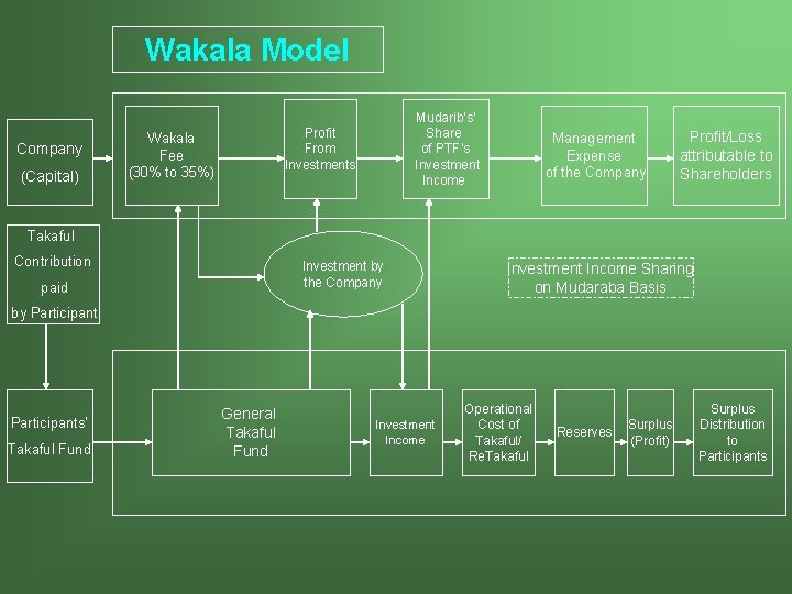 Wakala Model Company (Capital) Mudarib's’ Share of PTF’s Investment Income Profit From Investments Wakala