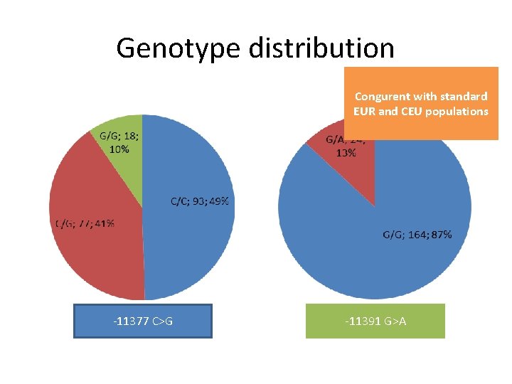 Genotype distribution Congurent with standard EUR and CEU populations -11377 C>G -11391 G>A 
