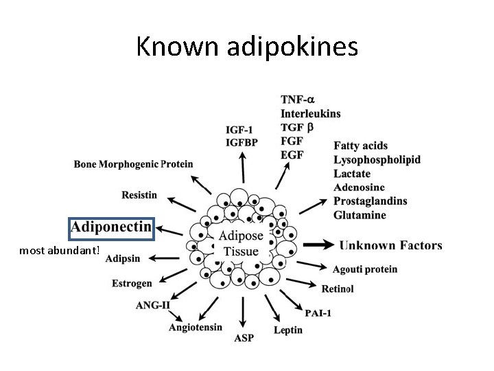 Known adipokines most abundant! 