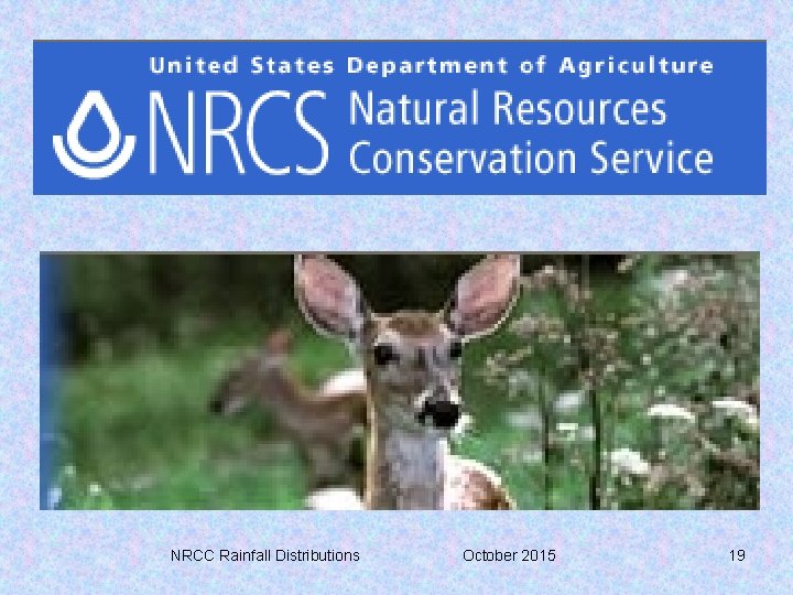 NRCC Rainfall Distributions October 2015 19 