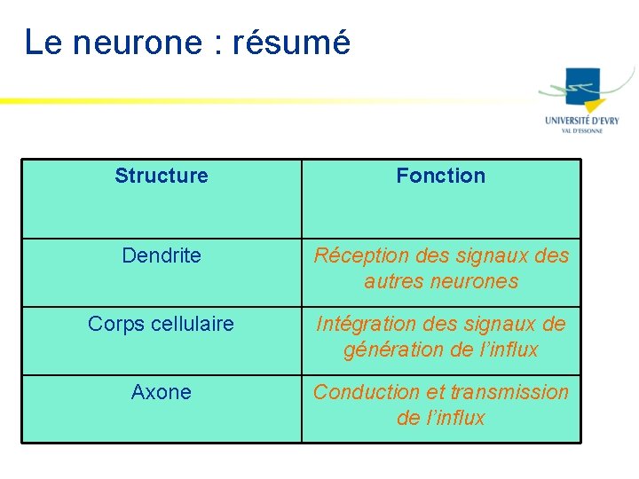Le neurone : résumé Structure Fonction Dendrite Réception des signaux des autres neurones Corps