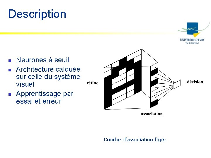 Description n Neurones à seuil Architecture calquée sur celle du système visuel Apprentissage par