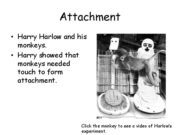 Attachment • Harry Harlow and his monkeys. • Harry showed that monkeys needed touch