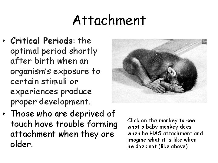 Attachment • Critical Periods: the optimal period shortly after birth when an organism’s exposure